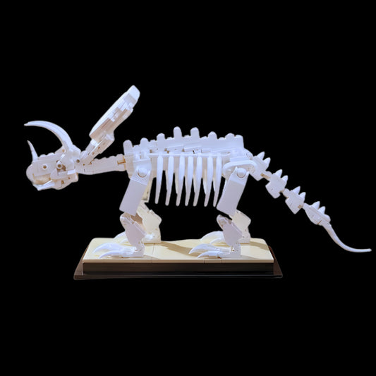 Fossile di dinosauro triceratopo (397 pezzi)