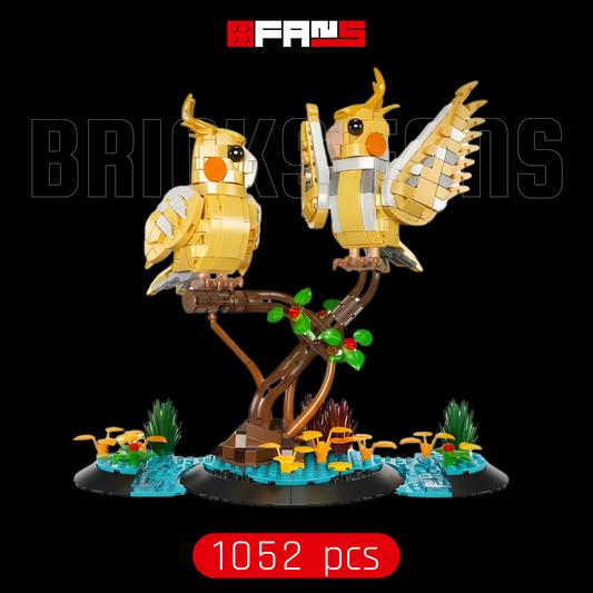 Black-Capped Lory (1052 stuks) 