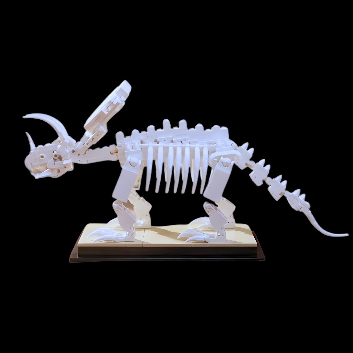 Fossile de dinosaure Tricératops (397 pièces) 