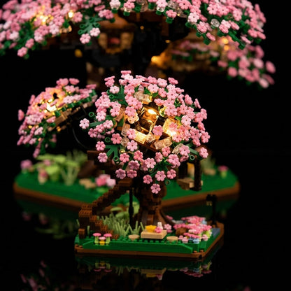 Sakura Kersenbloesem Bonsai - Afbeelding 2