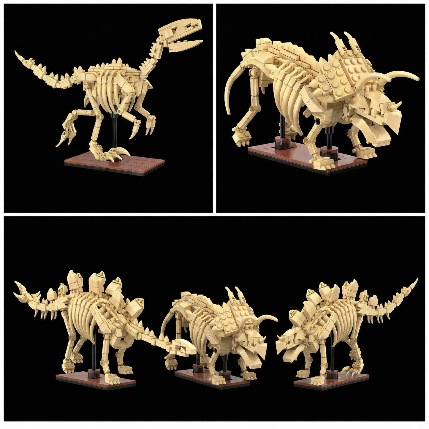Dinosaur Skeletons 3-in-1 (825 Pcs)