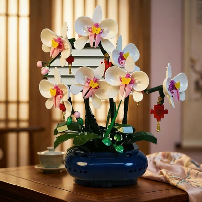 Potted Phalaenopsis Orchid (587 Pcs)