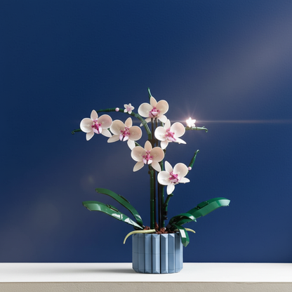 Potted Orchid Bouquet (608 Pcs)