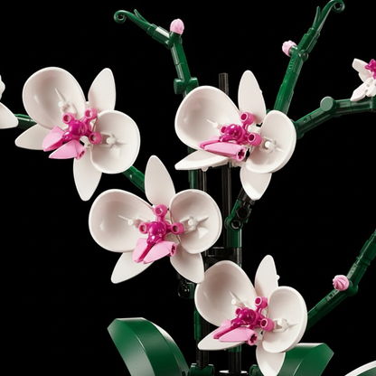 Potted Orchid Bouquet (608 Pcs)