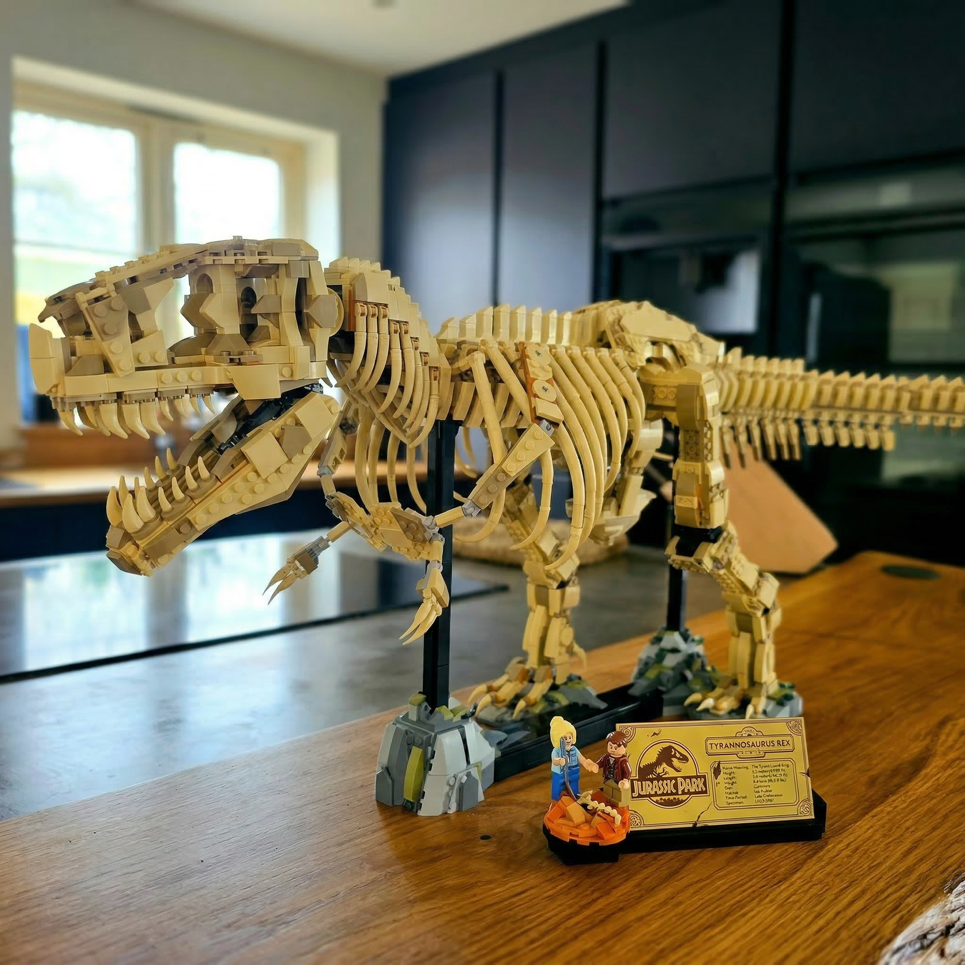 Tyrannosaurus Rex Fossil (3145 Pcs)