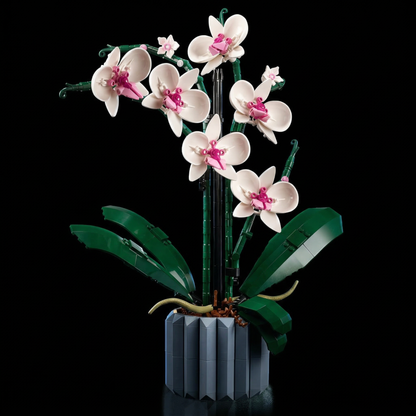 Potted Orchid Bouquet (608 Pcs)