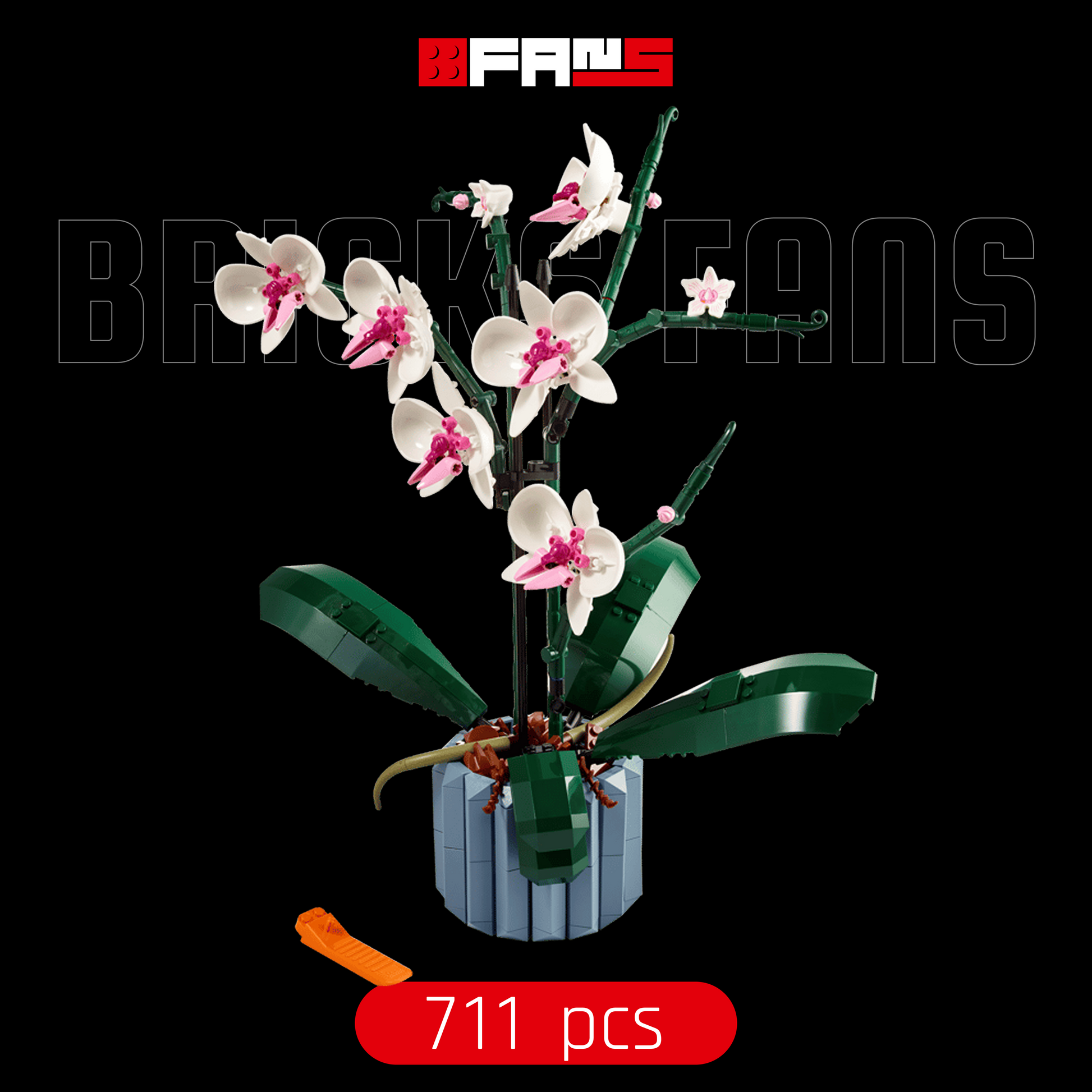 Potted Orchid Bouquet (608 Pcs)