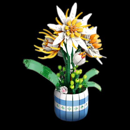 Kwiat epifyllum (835 szt.)