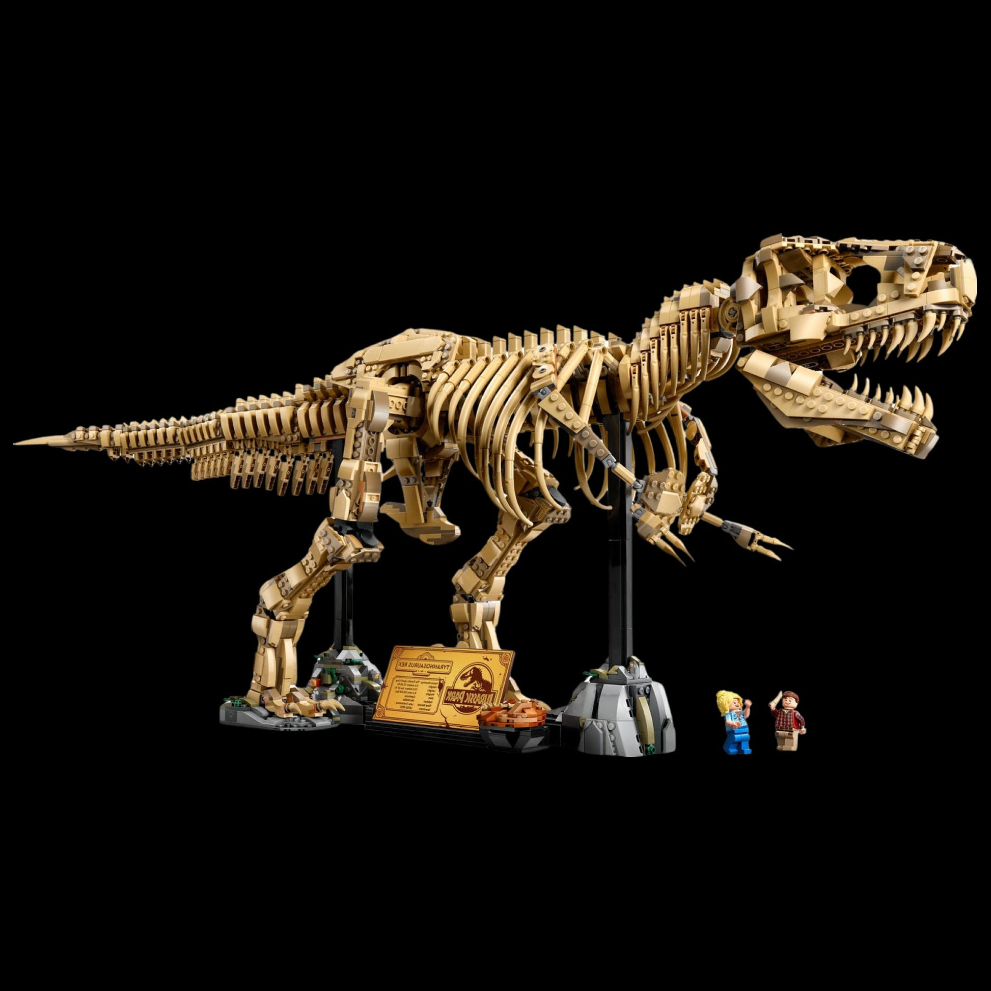 Tyrannosaurus Rex Fossil (3145 Pcs)